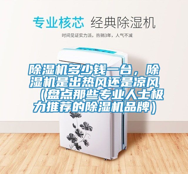 除濕機(jī)多少錢一臺(tái)，除濕機(jī)是出熱風(fēng)還是涼風(fēng)（盤點(diǎn)那些專業(yè)人士極力推薦的除濕機(jī)品牌）