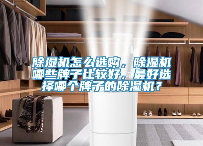 除濕機(jī)怎么選購，除濕機(jī)哪些牌子比較好，最好選擇哪個(gè)牌子的除濕機(jī)？