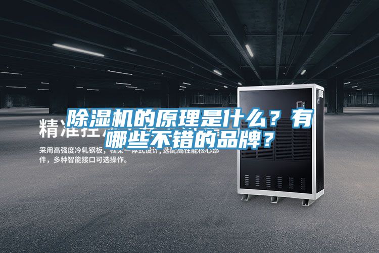 除濕機(jī)的原理是什么？有哪些不錯(cuò)的品牌？