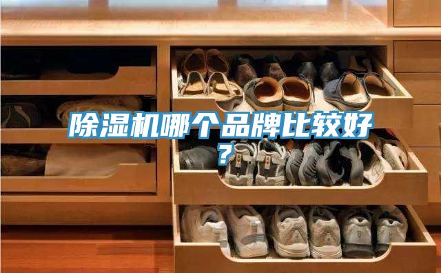 除濕機哪個品牌比較好？
