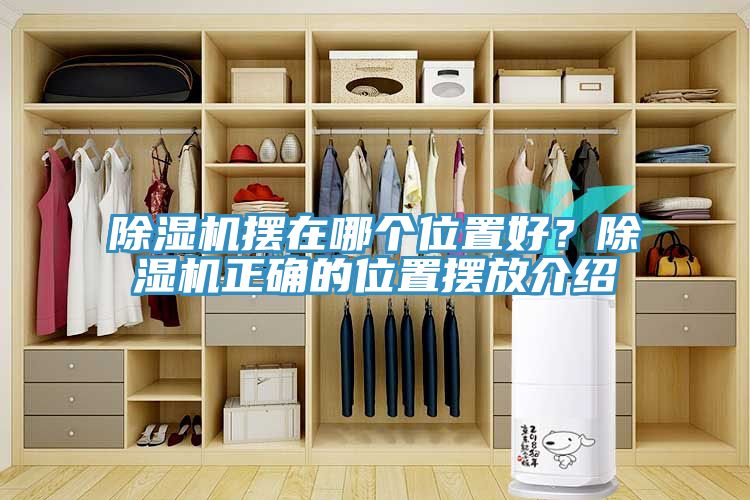除濕機擺在哪個位置好？除濕機正確的位置擺放介紹