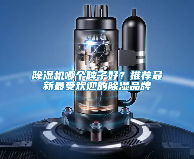 除濕機哪個牌子好？推薦最新最受歡迎的除濕品牌