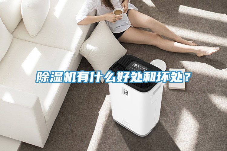 除濕機(jī)有什么好處和壞處？