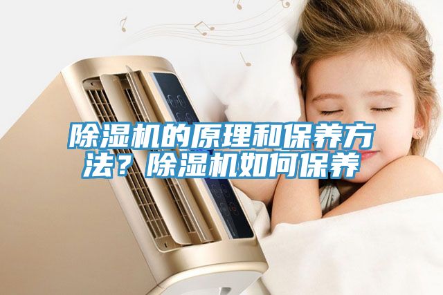 除濕機(jī)的原理和保養(yǎng)方法？除濕機(jī)如何保養(yǎng)