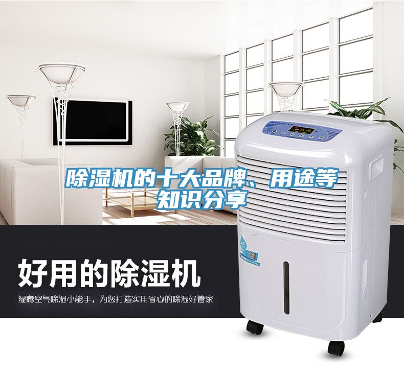 除濕機(jī)的十大品牌、用途等知識(shí)分享