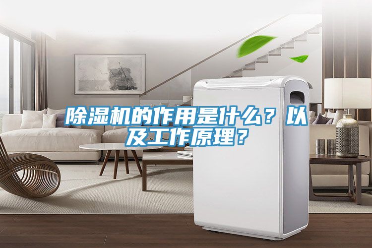 除濕機的作用是什么？以及工作原理？