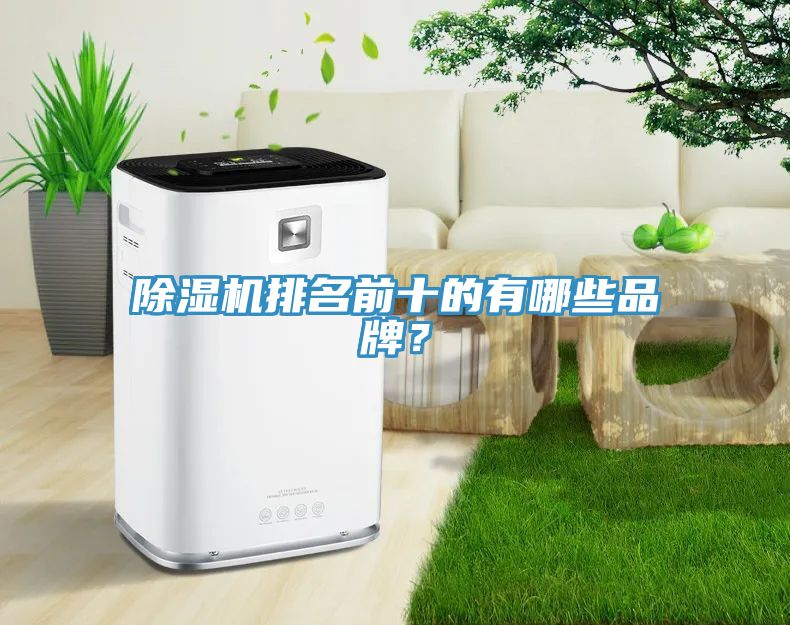 除濕機(jī)排名前十的有哪些品牌？