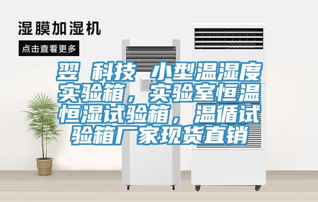 翌昇科技 小型溫濕度實(shí)驗(yàn)箱，實(shí)驗(yàn)室恒溫恒濕試驗(yàn)箱，溫循試驗(yàn)箱廠家現(xiàn)貨直銷