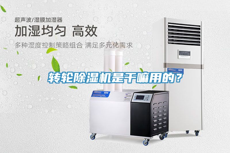 轉(zhuǎn)輪除濕機(jī)是干嘛用的？