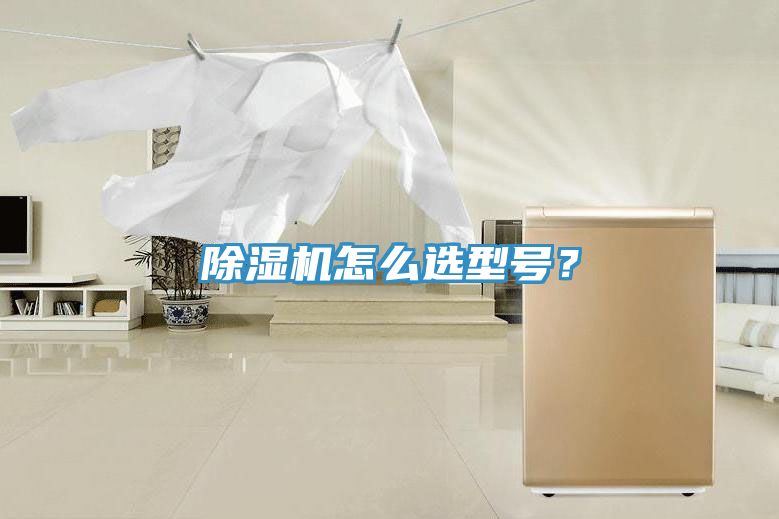 除濕機(jī)怎么選型號(hào)？