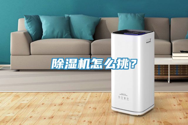 除濕機(jī)怎么挑？