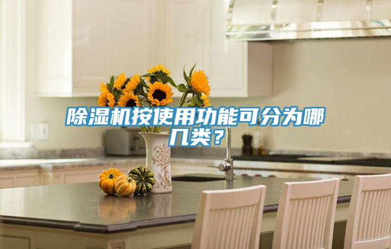除濕機(jī)按使用功能可分為哪幾類？