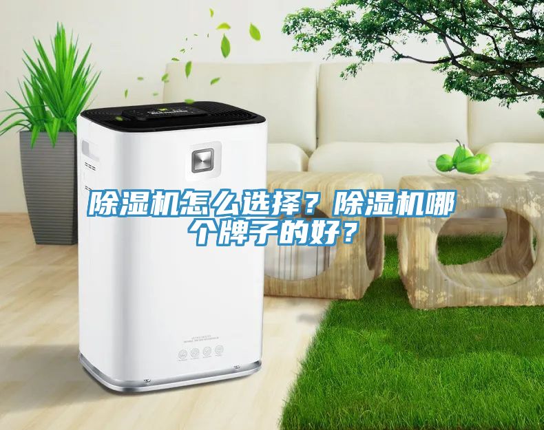 除濕機(jī)怎么選擇？除濕機(jī)哪個(gè)牌子的好？