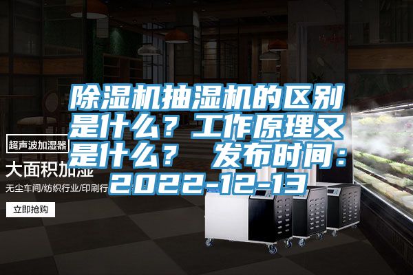 除濕機抽濕機的區(qū)別是什么？工作原理又是什么？ 發(fā)布時間：2022-12-13