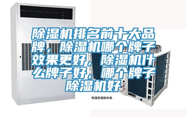 除濕機排名前十大品牌，除濕機哪個牌子效果更好，除濕機什么牌子好，哪個牌子除濕機好