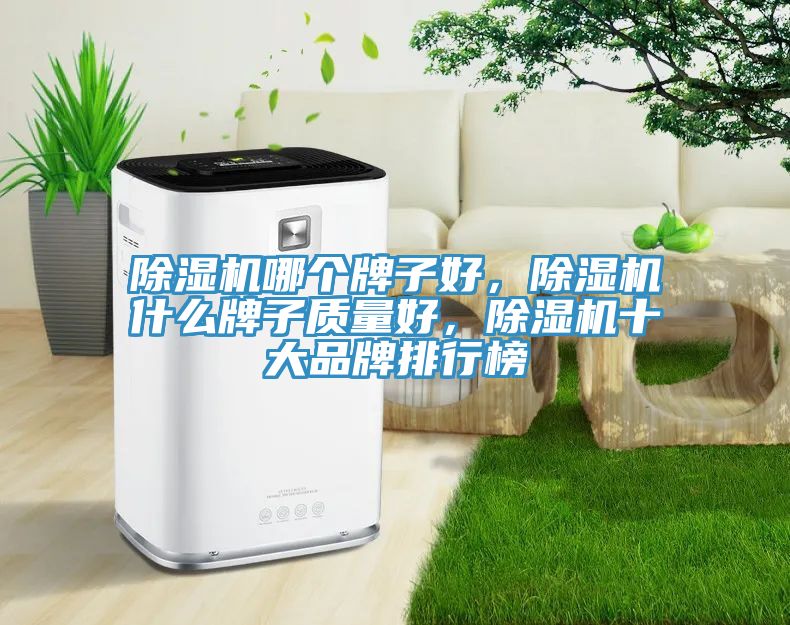 除濕機哪個牌子好，除濕機什么牌子質量好，除濕機十大品牌排行榜