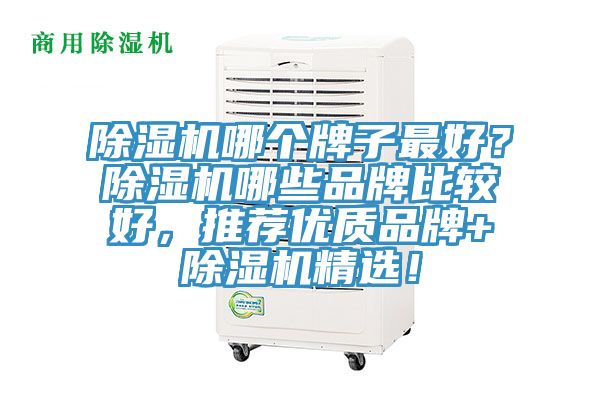 除濕機(jī)哪個(gè)牌子最好？除濕機(jī)哪些品牌比較好，推薦優(yōu)質(zhì)品牌+除濕機(jī)精選！