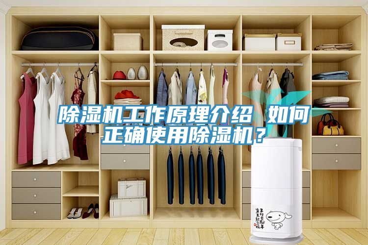 除濕機(jī)工作原理介紹 如何正確使用除濕機(jī)？