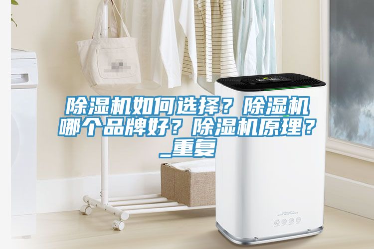 除濕機(jī)如何選擇？除濕機(jī)哪個品牌好？除濕機(jī)原理？_重復(fù)