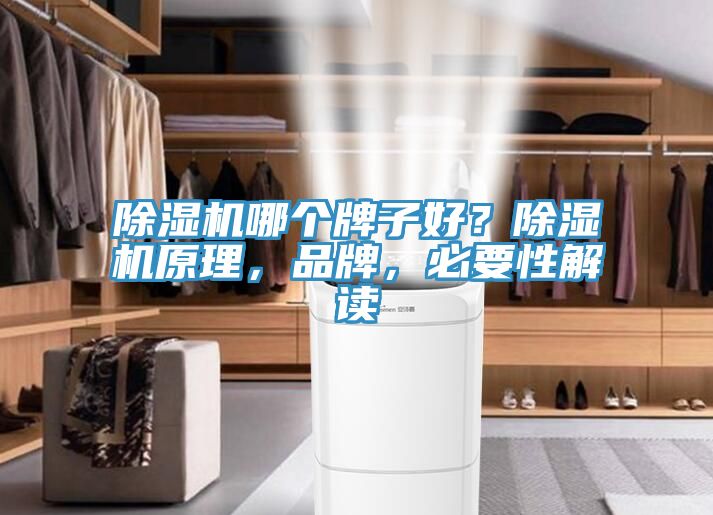 除濕機哪個牌子好？除濕機原理，品牌，必要性解讀
