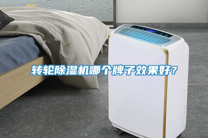 轉(zhuǎn)輪除濕機哪個牌子效果好？