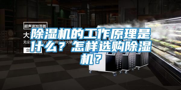 除濕機的工作原理是什么？怎樣選購除濕機？