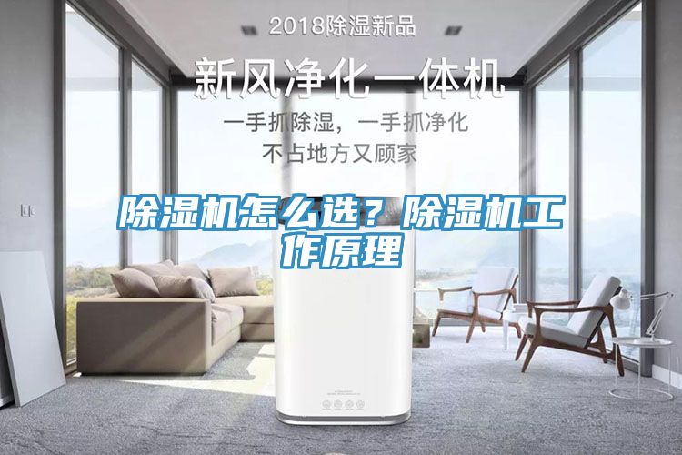 除濕機怎么選？除濕機工作原理