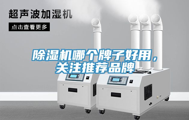 除濕機(jī)哪個(gè)牌子好用，關(guān)注推薦品牌