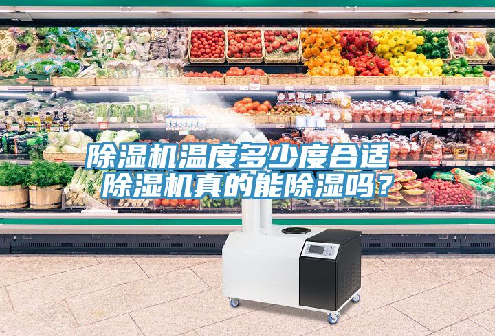 除濕機溫度多少度合適 除濕機真的能除濕嗎？