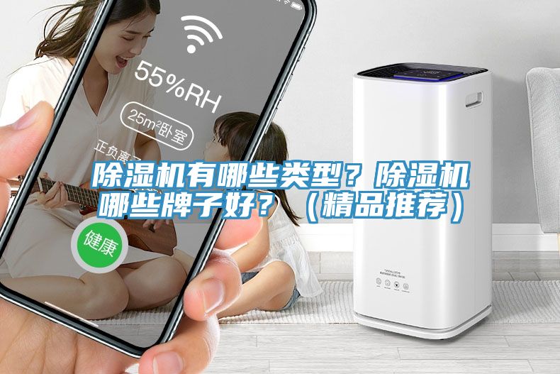 除濕機(jī)有哪些類(lèi)型？除濕機(jī)哪些牌子好？（精品推薦）
