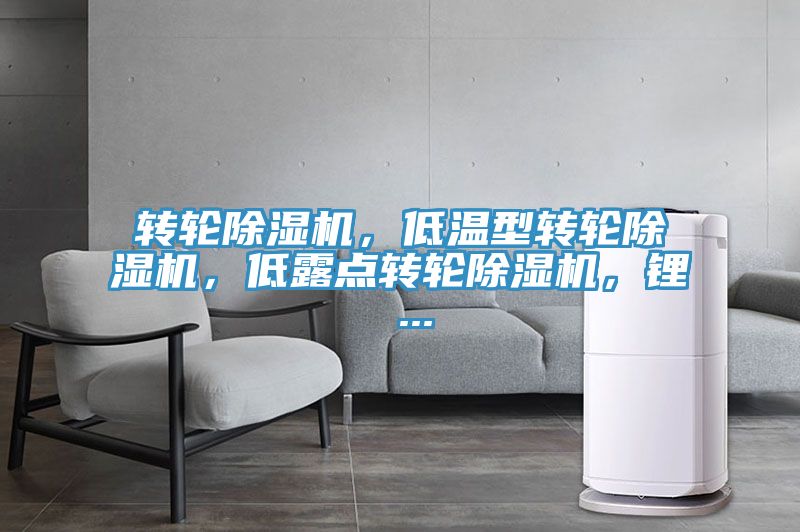 轉(zhuǎn)輪除濕機，低溫型轉(zhuǎn)輪除濕機，低露點轉(zhuǎn)輪除濕機，鋰 ...
