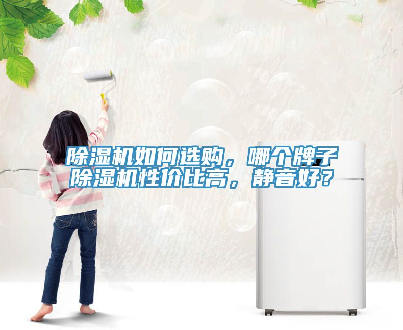 除濕機(jī)如何選購，哪個(gè)牌子除濕機(jī)性價(jià)比高，靜音好？