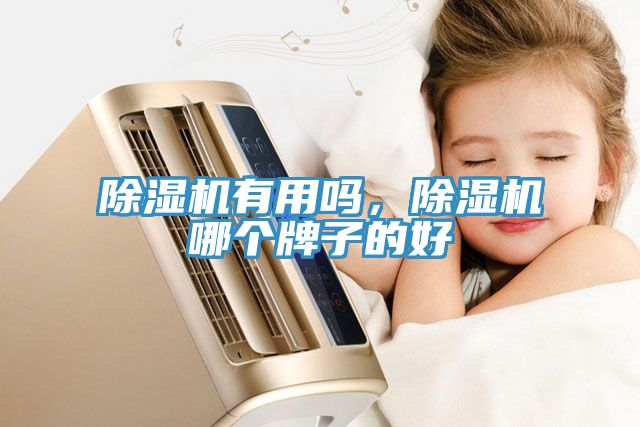 除濕機(jī)有用嗎，除濕機(jī)哪個(gè)牌子的好